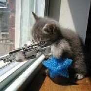 Crime
